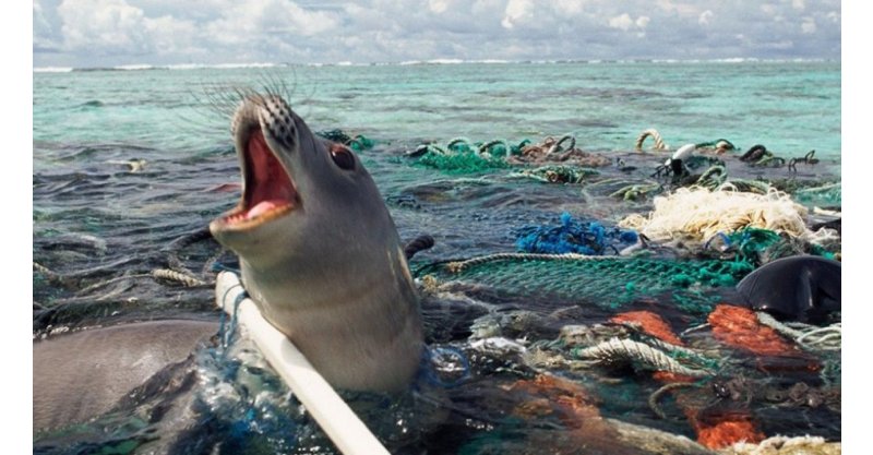 Registration is open for the free course “Science and Action Against Garbage at Sea”, promoted by the Port of Imbituba