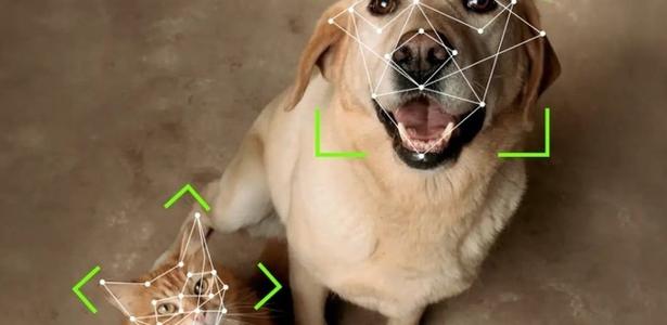 A company launches a special door for facial recognition for cats and dogs
