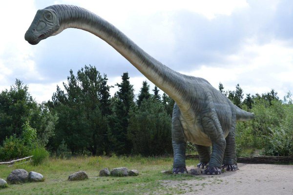 5 strange creatures that lived with dinosaurs