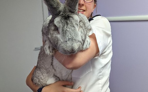 UK NGO rescues 47 giant rabbits after complaint of abuse - Marie Claire Magazine