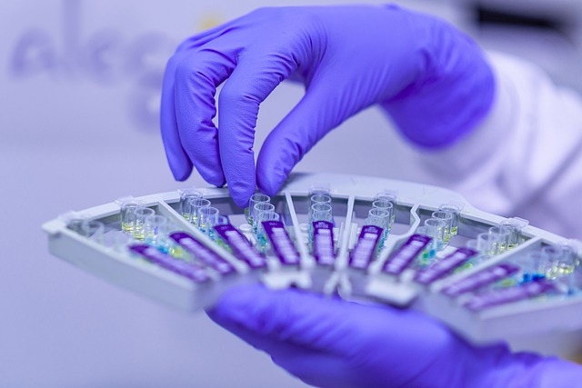 Postdoctoral in Materials Science at Unicamp