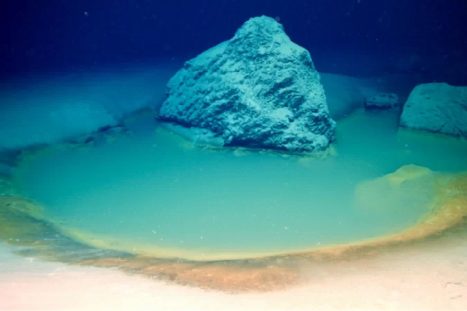Researchers discover rare brine pools in the Red Sea
