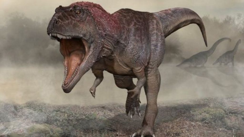Scientists discover clues to the mystery of Tyrannosaurus Rex's short arms  Sciences