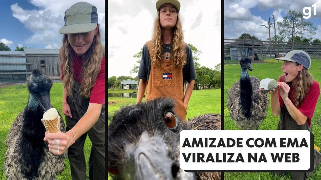 The friendship between the inquisitive and responsible emu on the American farm is spreading on social media;  Watch the video |  Globalism