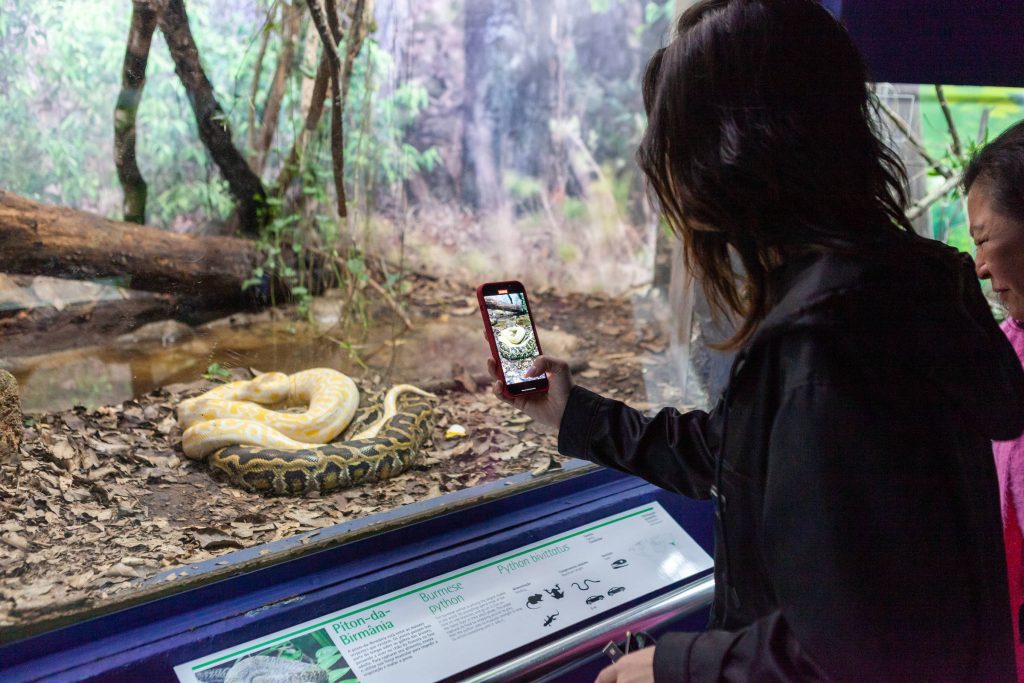 Science Park museums receive nearly 100,000 visits – 07/08/2022 – Mónica Bergamo