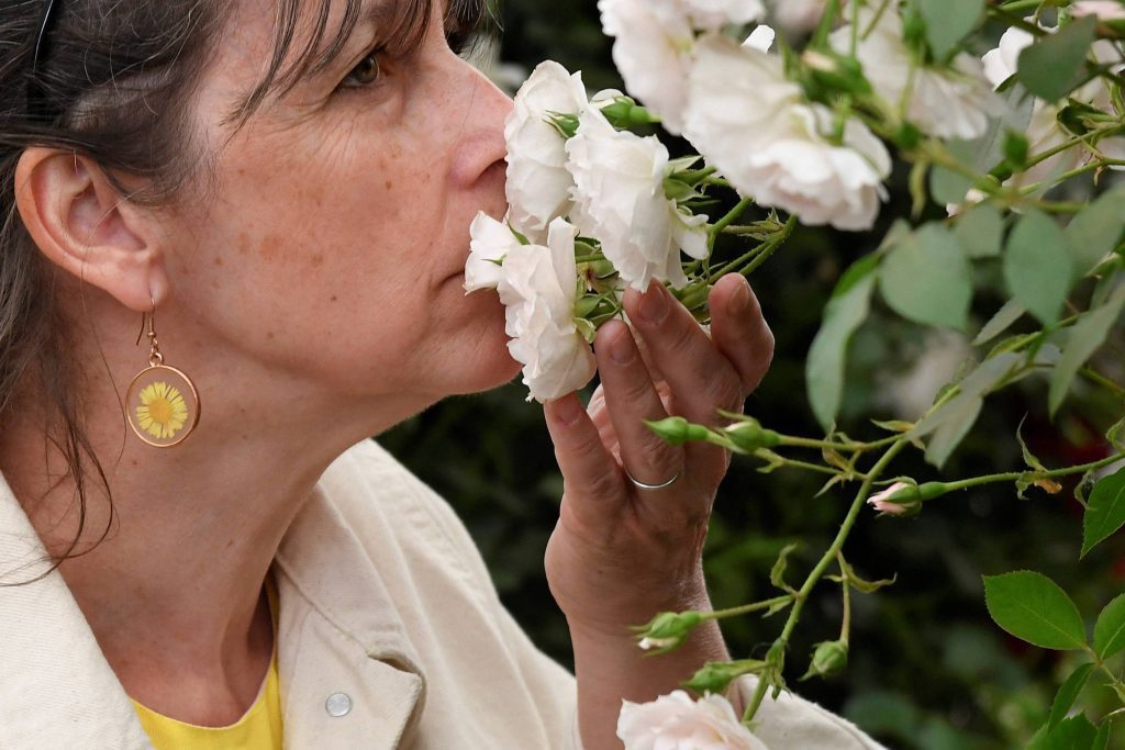 Smells can affect the visual perception of emotions - 08/19/2022 - The science