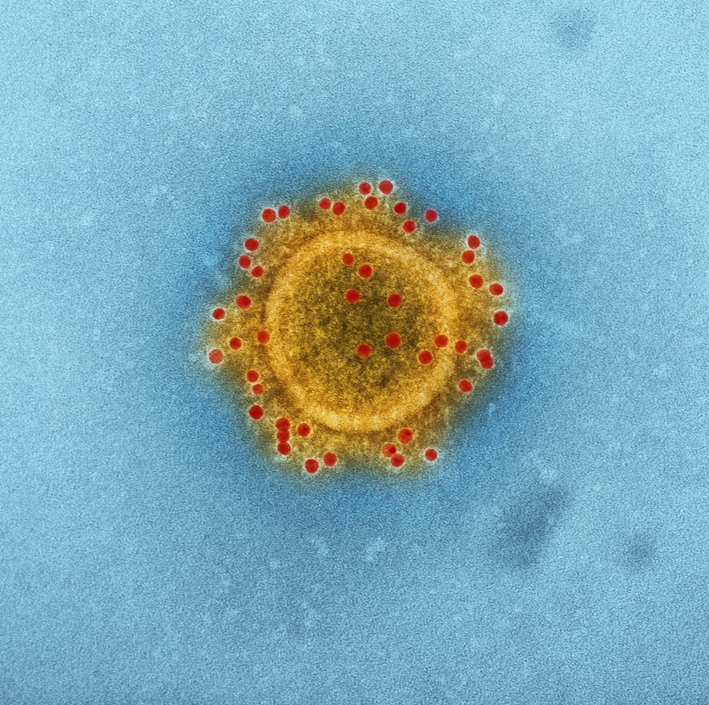 The United States eases measures to prevent Covid-19 and cancels quarantine |  Globalism