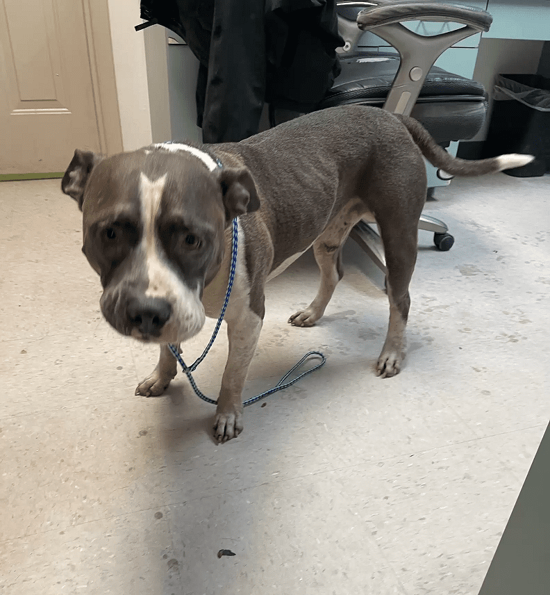 Conway was found walking down the street.  Photo: Highland County Sheriff's Office