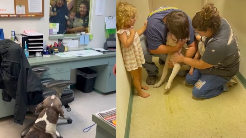 The family cries with joy to see the dog that has been missing for 10 months