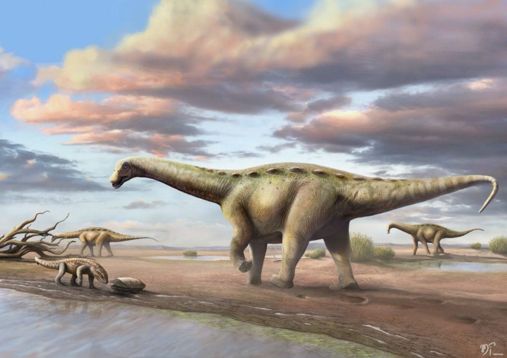 New species revealed: The first 'dwarf titanosaur' in the Americas was discovered in the interior of SP |  Sao Jose do Rio Preto and Aratuba