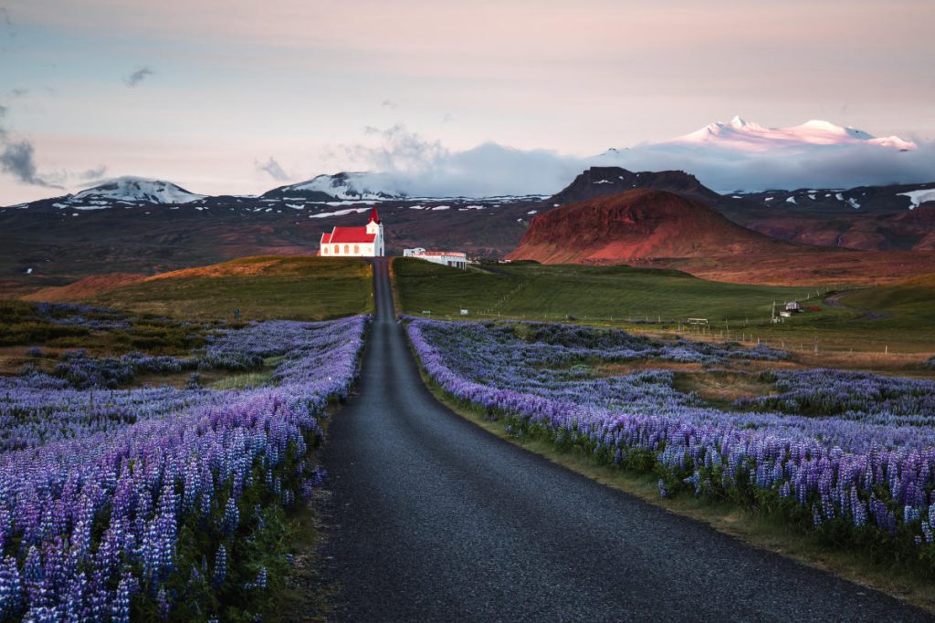 The yogurt brand offers over R$200,000 to those who accept work in Iceland