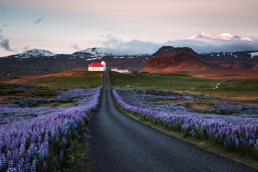 The yogurt brand offers over R0,000 to those who accept work in Iceland