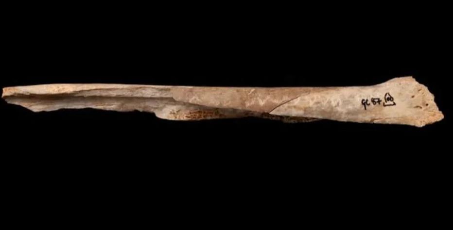 UK DNA study reveals two prehistoric human groups
