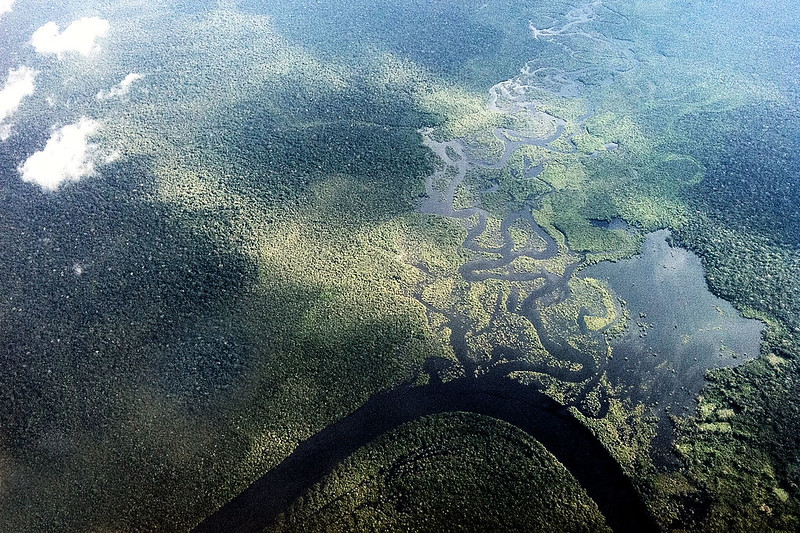 AI and data science will help the judiciary protect the environment
