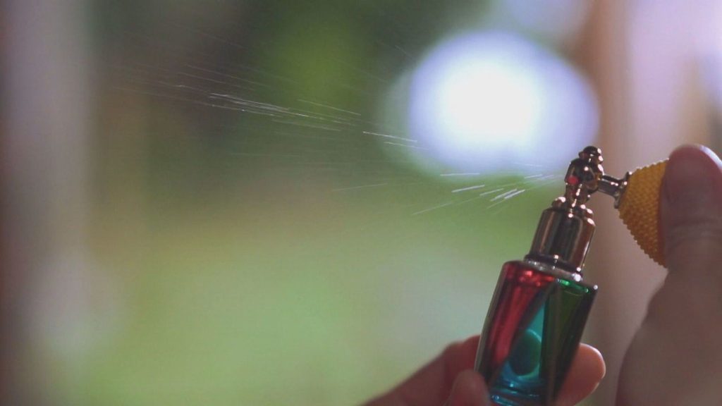 Knowing how the sense of smell works is a recent scientific achievement |  Globo Reporter