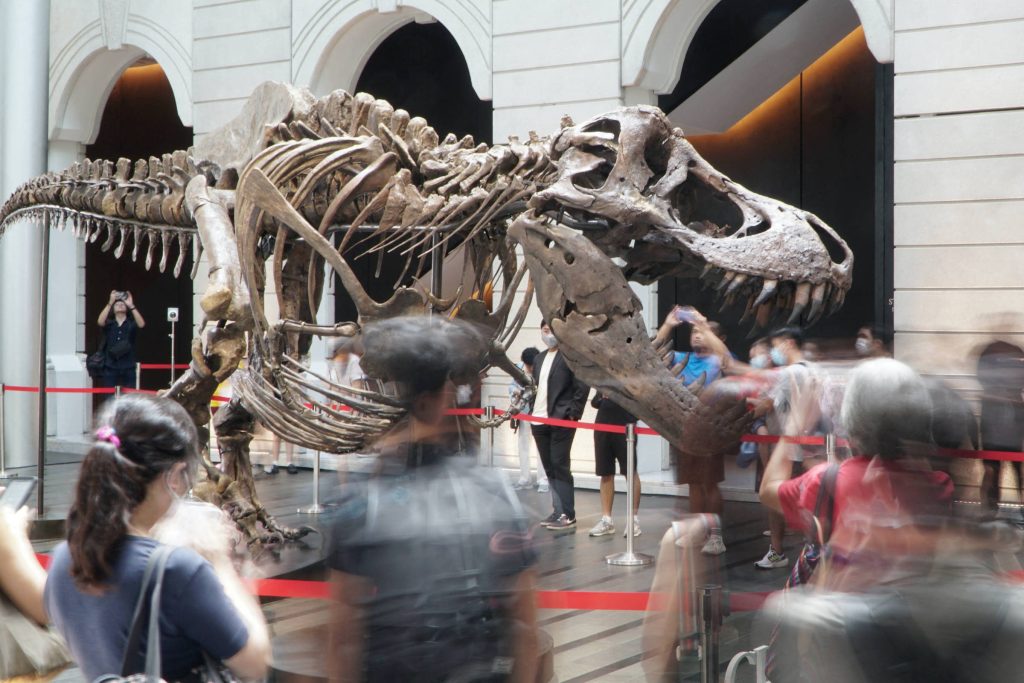 T. rex Shen under fire ahead of cash-targeted auction - 10/28/2022 - Science