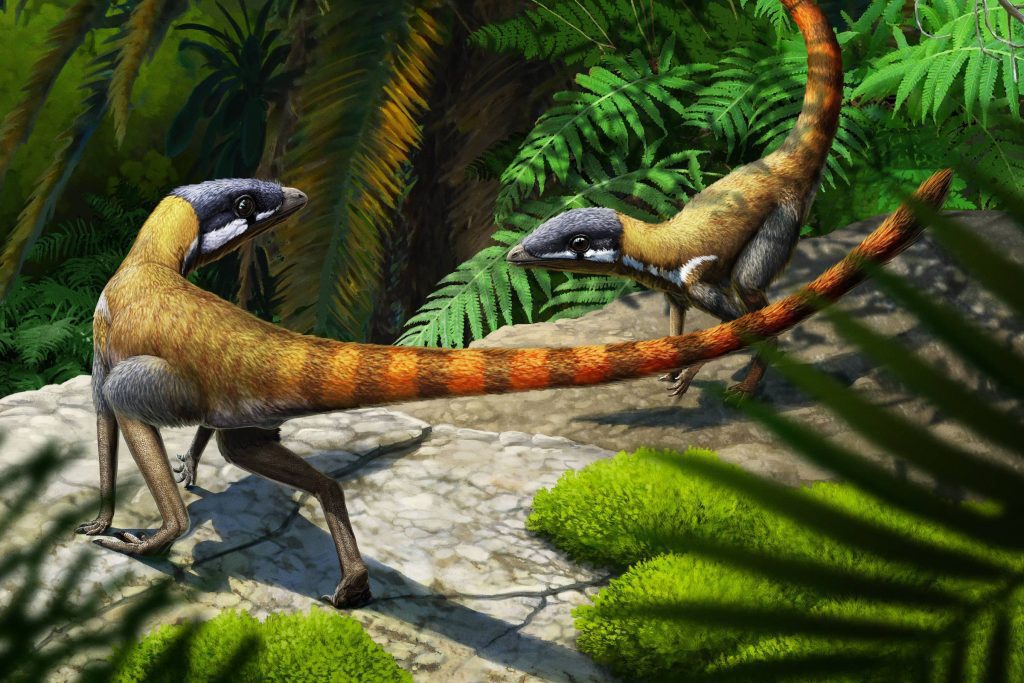 Unearthing a fossil of the ancient “cousin” of the pterosaurs – 05/10/2022 – Science