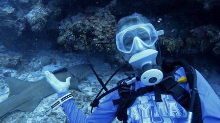 A diver catches a skirt shark in the Caribbean and biologists are trying to save the animal