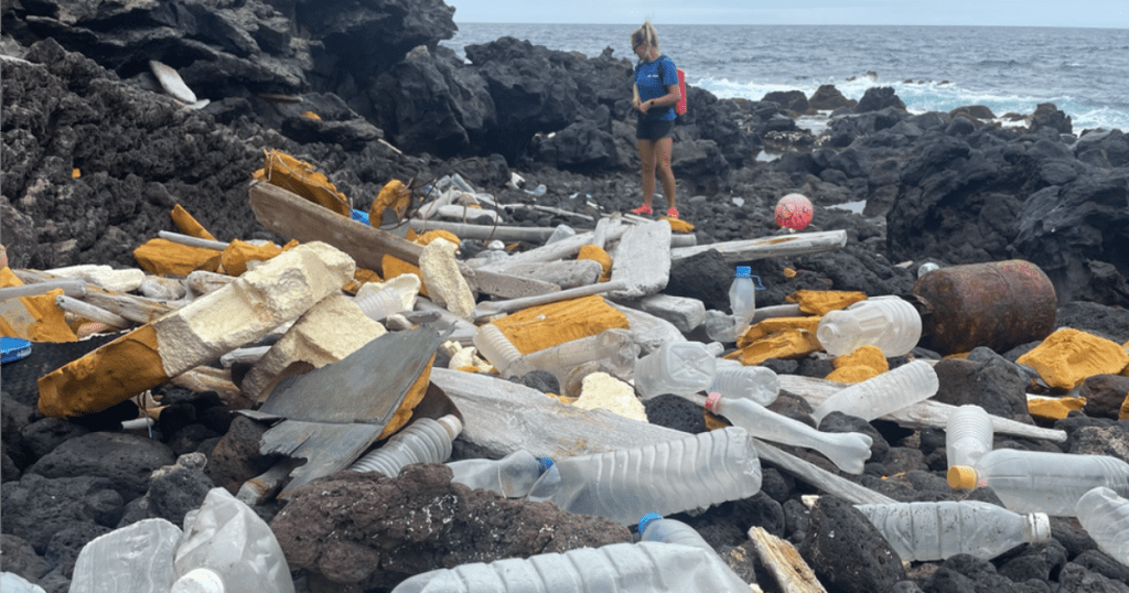 A remote island in the South Atlantic receives garbage from all over the world by sea