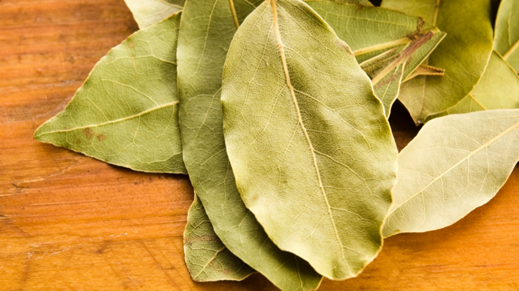 6 benefits of laurel leaves for the body that you will not believe
