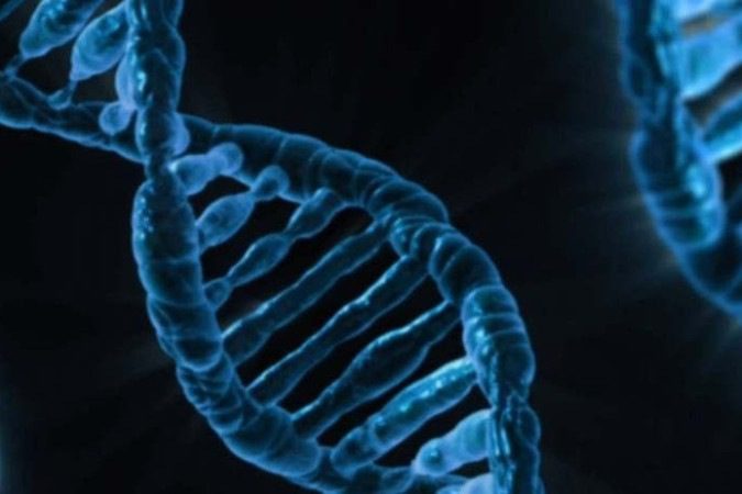 The authors show that by sequencing the entire genomes of the participants, work was determined from the smallest DNA modifications to those affecting entire chromosomes. 