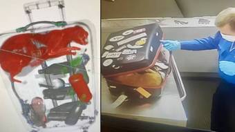 X-ray back: Airport security guards shocked to find cat in suitcase News