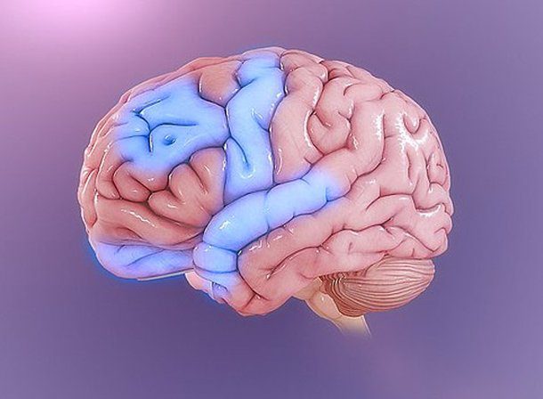 (Source: Wikimedia Commons)