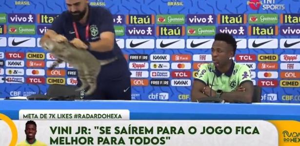 CRMV-SP finds common treatment for a CBF counselor with a cat