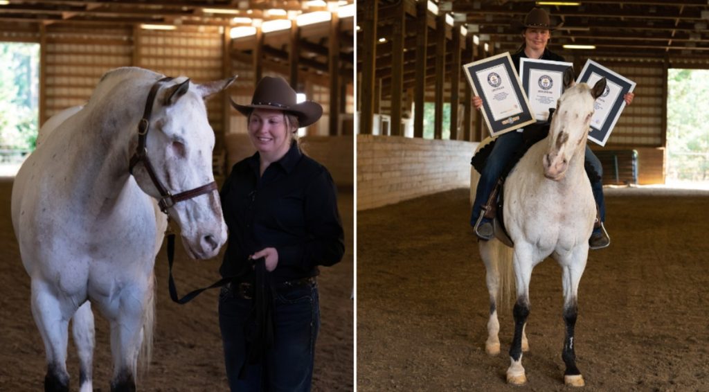 Blind American horse breaks 3 world records, enters Guinness Book of Records |  Biology