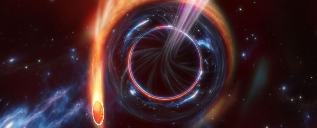 Scientists capture the moment when a star is swallowed by a black hole  Science and health