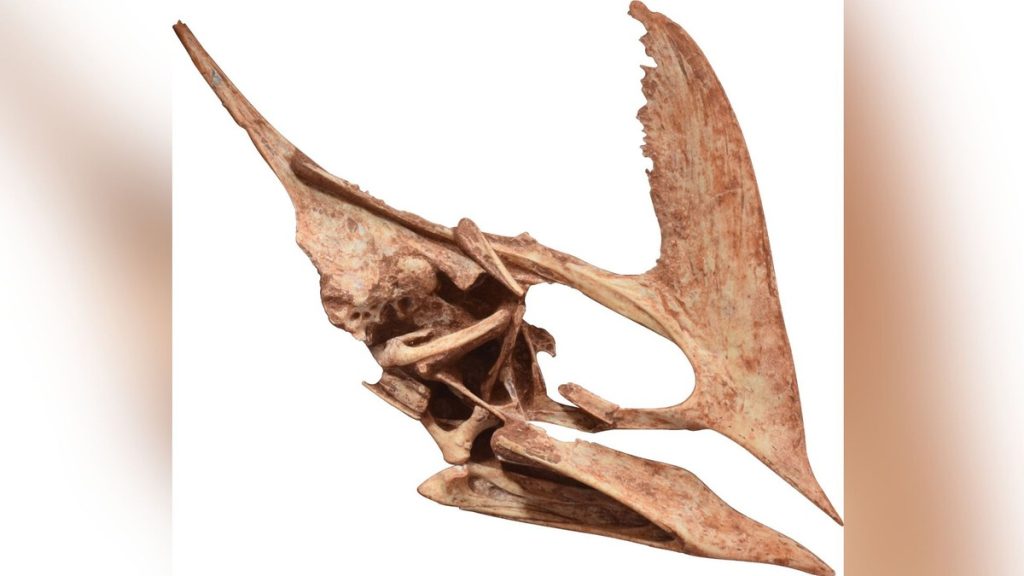 The most complete skull of a pterosaur species has been discovered in Paraná  Sciences